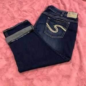 Silver Plus Size Capris size SZ24/L22.5